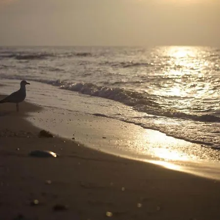 Beautiful In Near Sea Appartamento *