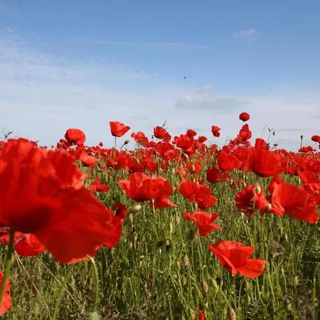 Sch Ne In Kr Pelin In Der N He Von Апартаменты Kropelin