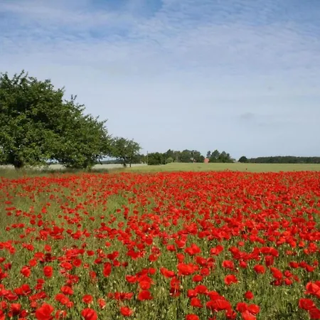 Апартаменты Sch Ne In Kr Pelin In Der N He Von